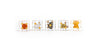 CATAN® Inclusion Dice Set